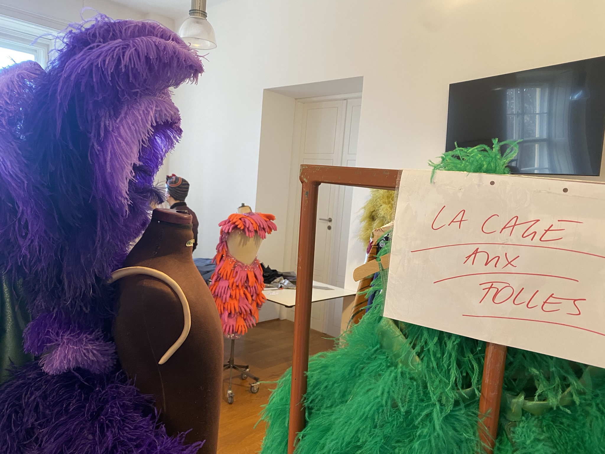 Bunte Kostüme aus Straußenfedern stehen in einem Ankleideraum. Auf dem Schild das auf einem Kostümwagen steht ist zu lesen: La Cage aux Folles. 